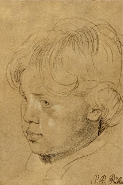 Son of the Artist by Peter Paul Rubens